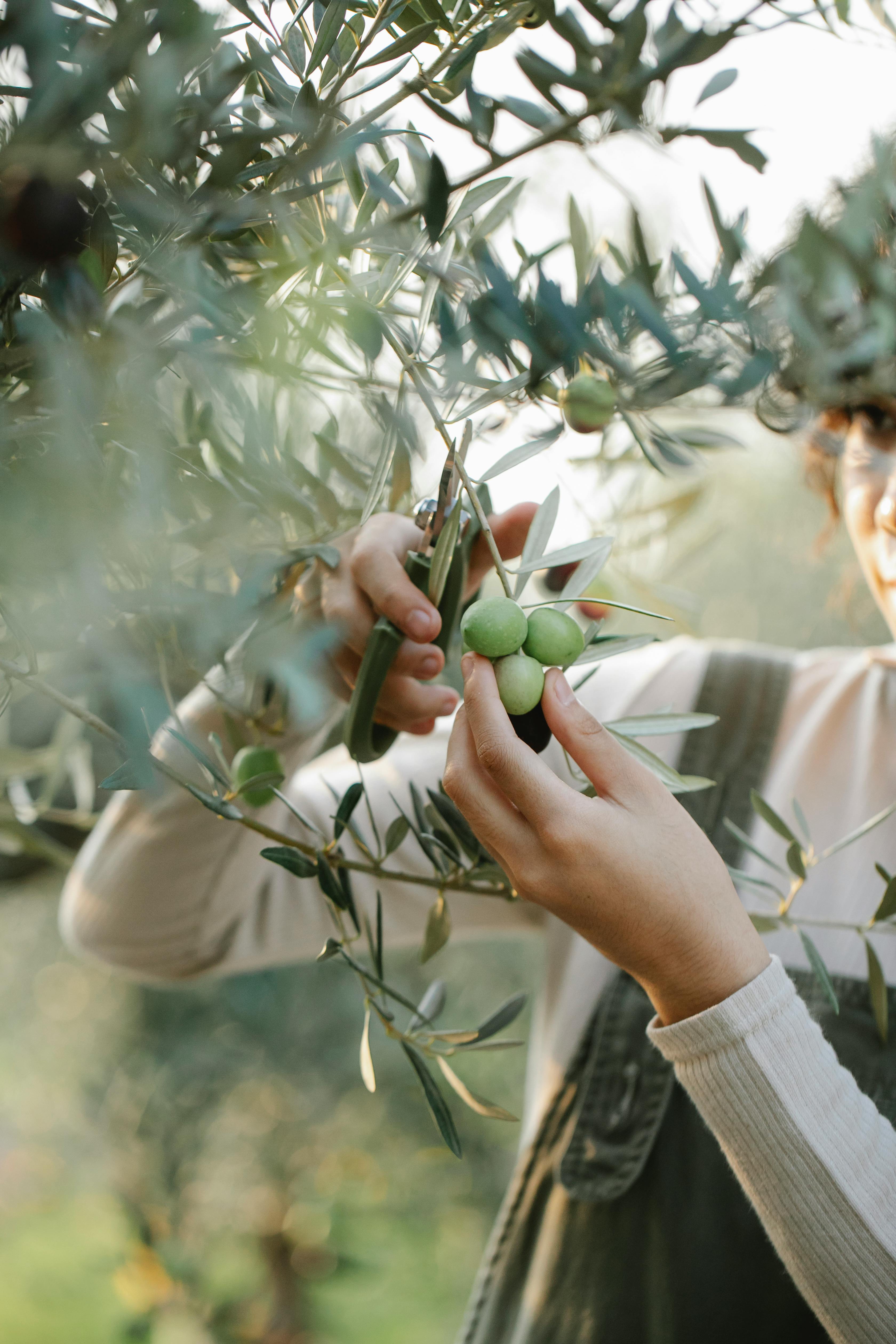 How to Become a Genetic Counselor: 5 Essential Steps to Succeed in 2025
