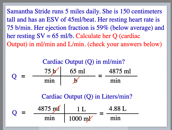 How to Calculate Cardiac Output