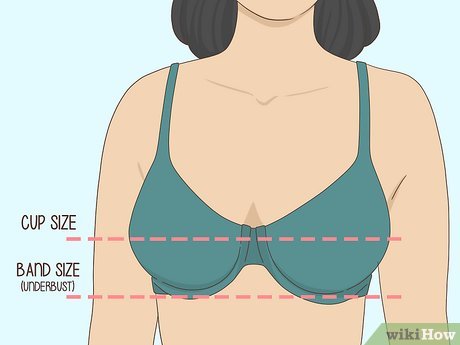 How to Know Your Bra Size