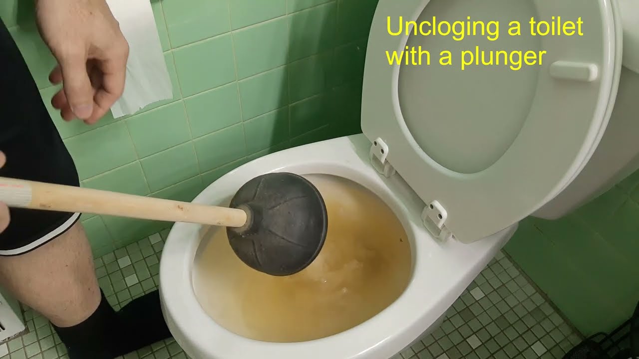 how to plunge a clogged toilet