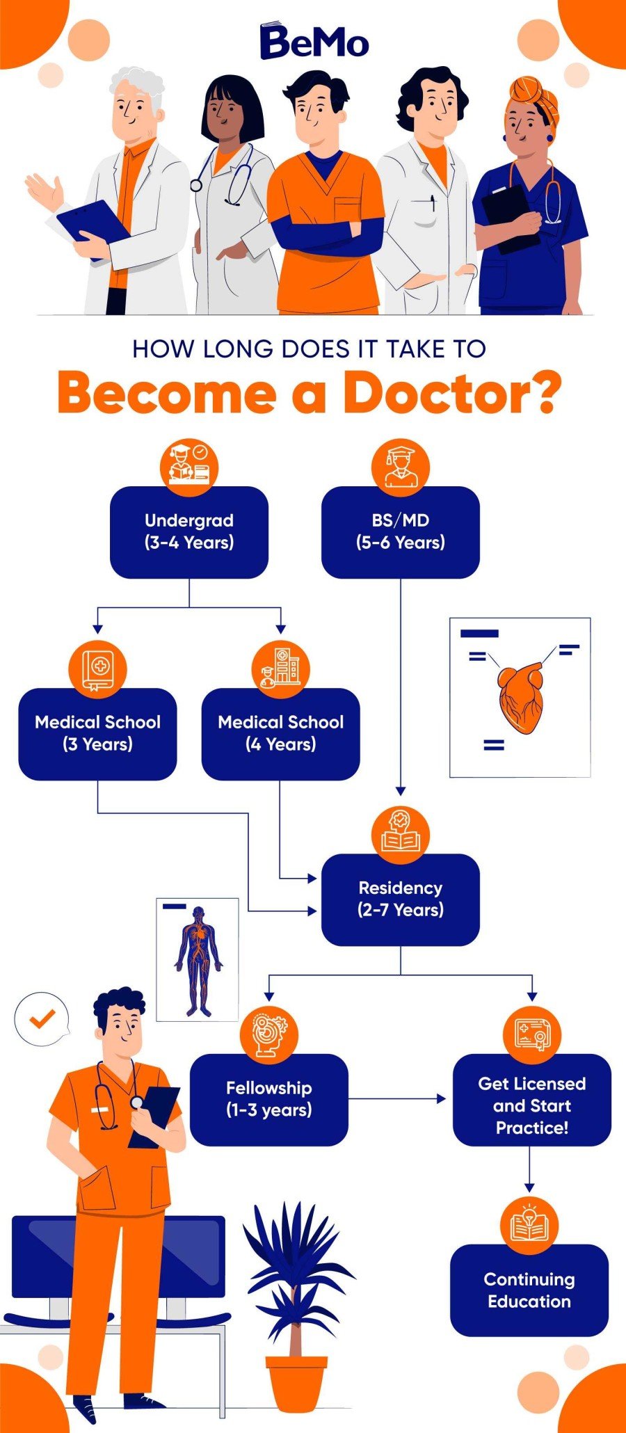 Years to become a doctor overview