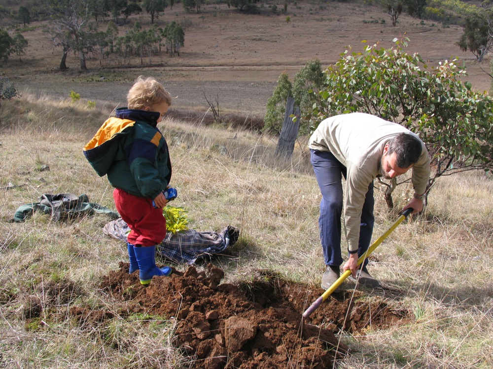 Burying a dog