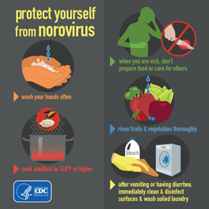 Prevent Norovirus Efforts