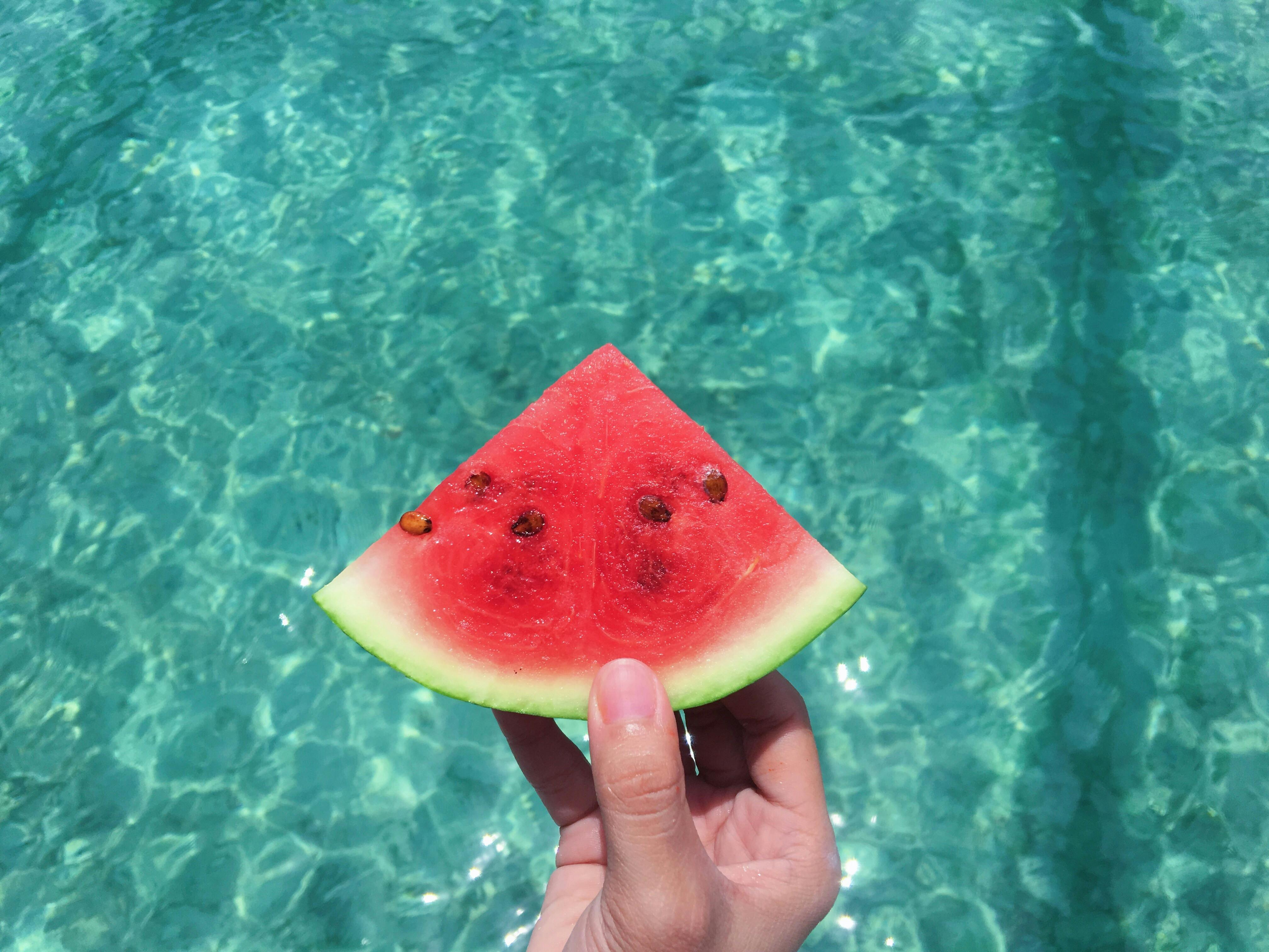 Watermelon Presentation